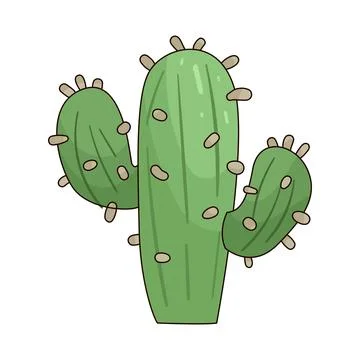 Cactus  illustration Stock Illustration