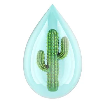 Cactus inside water drop, water conservation or drought concept. 3d rendering Stock Illustration
