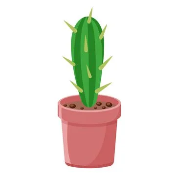 Cactus with large thorns in pot isolated vector Stock Illustration