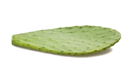 Cactus leaf Stock Photos