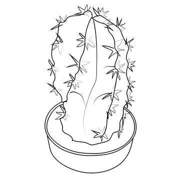 Cactus line art, cactus vector art, hand-drawn cactus, cactus coloring pages Stock Illustration