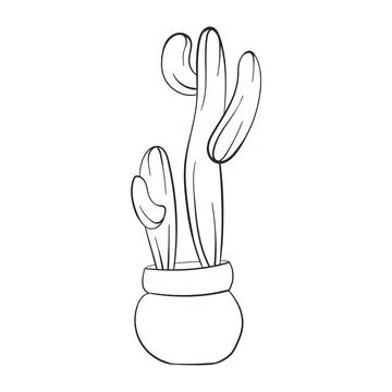 Cactus line art style. Linear Cactus. Hand drawn cactus isolated on white Stock Illustration