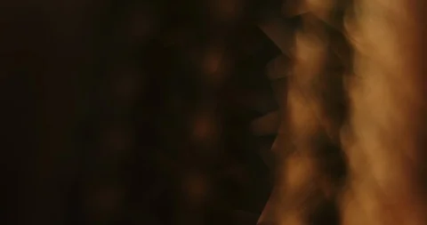 Cactus. Macro shot in low key lighting. Stock Footage 126551530