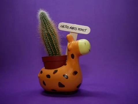 Cactus Makes perfect  스톡 사진