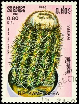 Cactus Melocactus evae on postage stamp Stock Photos