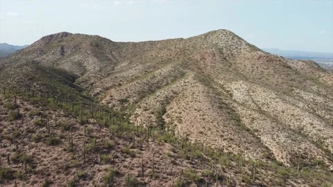 Cactus &amp; Mountains 動画素材 142841505