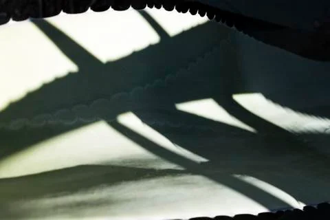 Cactus needles Stock Photos