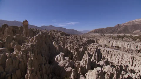 Cactus park Bolivia Stock Footage 170025357