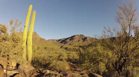 Cactus park time lapse sunset Arizona Stock-Footage 32142631