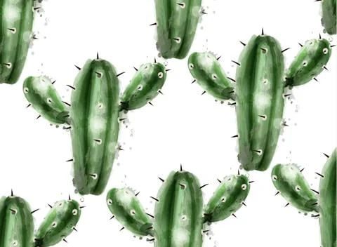Cactus pattern background. Botanic garden watercolor Vector illustrations Stock Illustration