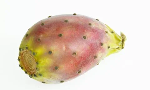 Cactus pear Foto stock