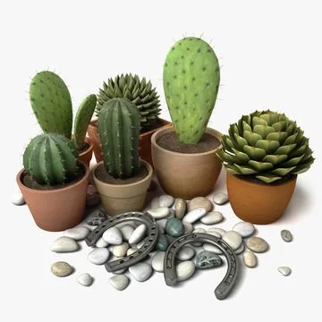 Cactus, Pebbles and Horseshoes 3D Model