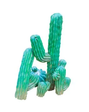 Cactus Stock Photos