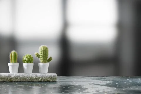 Cactus placed on table with blurred background 3d rendering Stock Photos
