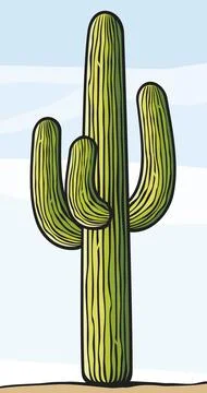 Cactus plant Stock Illustration