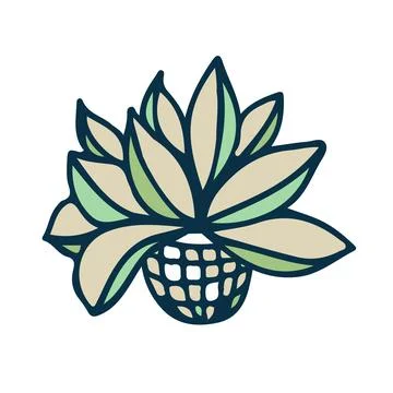 Cactus plant isolate, hand drawn colors sketching Stock Illustration