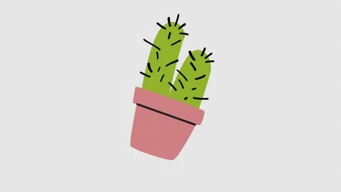 Cactus plant with pot icon loop Animation video transparent background with.. Video stock 236677323