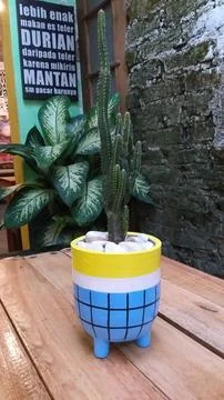 Cactus plant in a pot on the table Stock Photos