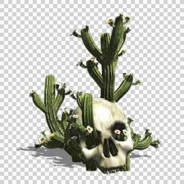 Cactus plant in skull Stock Illustration