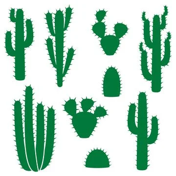 Cactus plants collection Stock Illustration