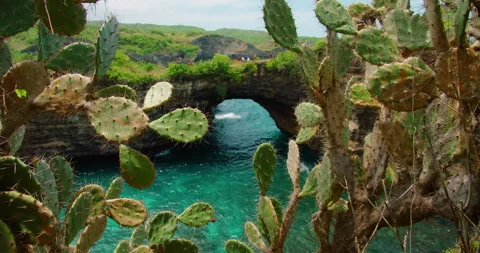 Cactus plants frame natural rock arch over turquoise sea at Broken Beach Nusa Stock Footage 345693611