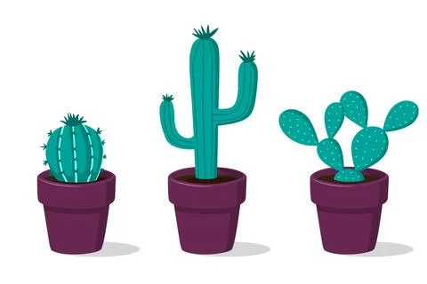 Cactus Plants In Pot for Decoration Vector Illustration Stock Illustration