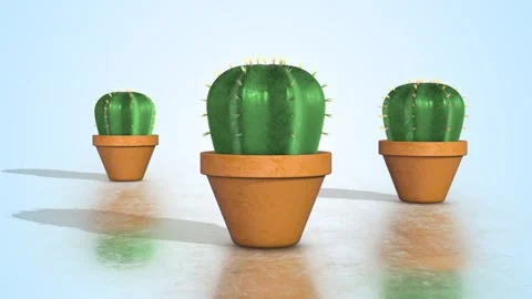 Cactus Plants in Pots 3D Animation. Cactus on a Reflective Floor. Greenery. 4K Stock Footage 293705292