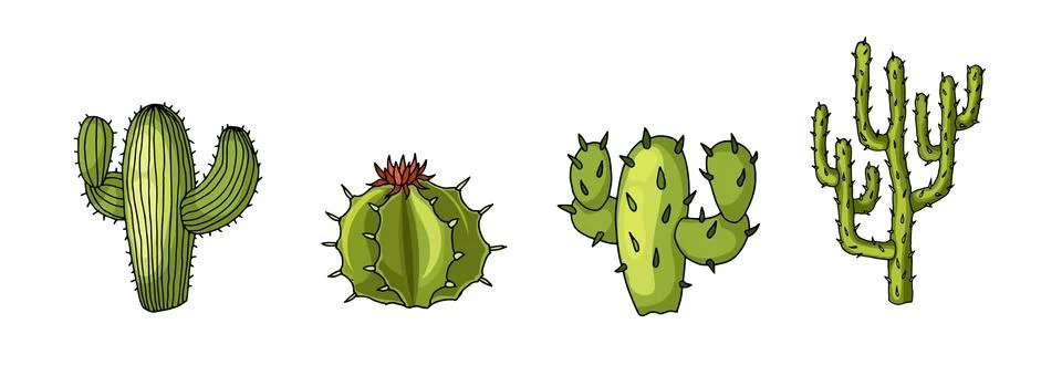 Cactus plants set of desert. Realistic vector illustration isolated on white Stock Illustration