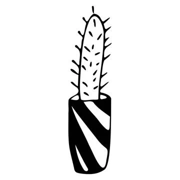 Cactus in a pot . Doodle style. Stock Illustration