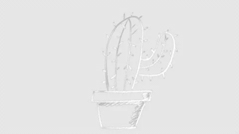 Cactus in a pot drawn with white chalk, animation 库存影片 333275844