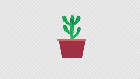 A cactus in a pot icon concept animation with alpha channel Video stock 270141479