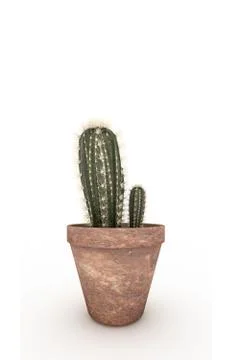 Cactus in a pot Stock Illustration