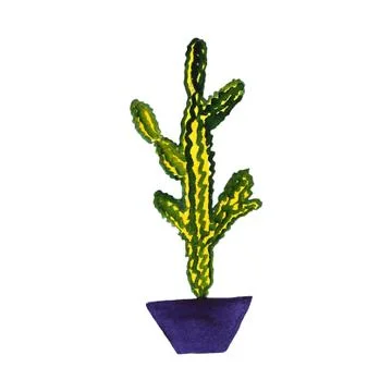 Cactus in the pot Stock Illustration