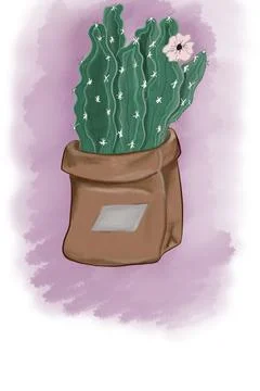 Cactus in a pot Stock Illustration