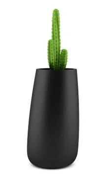 Cactus in pot isolated on white background Stock Illustration