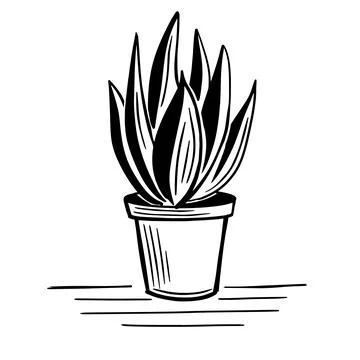 Cactus in pot vector drawing Stock Illustration
