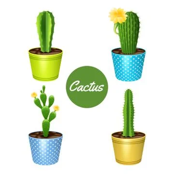 Cactus In Pots Set Illustrazione stock
