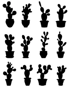 Cactus at potted Stock Illustration