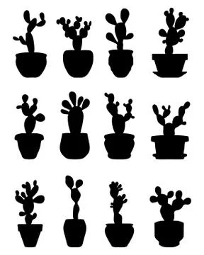 Cactus at potted Stock Illustration