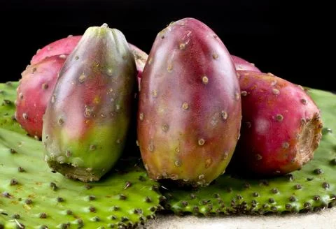 Cactus Prickly Pears. Stock Photos