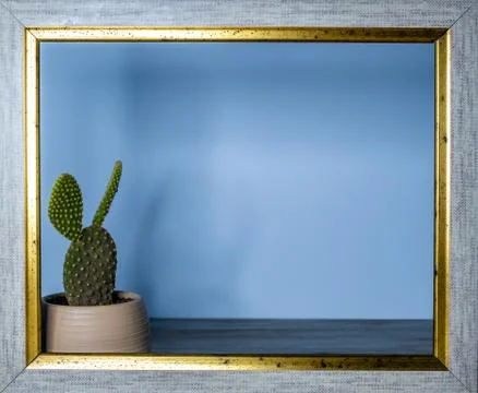 Cactus like rabbit in the frame Stock Photos