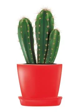 Cactus in a red flowerpot isolated Stock Illustration