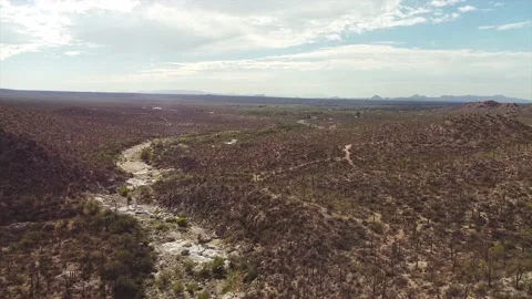 Cactus &amp; Rocks 動画素材 142841598