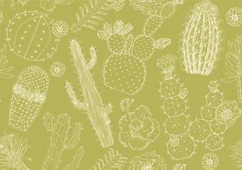 Cactus Seamless pattern and flowers. Cozy cute elements. Collection of tropical Stock Illustration
