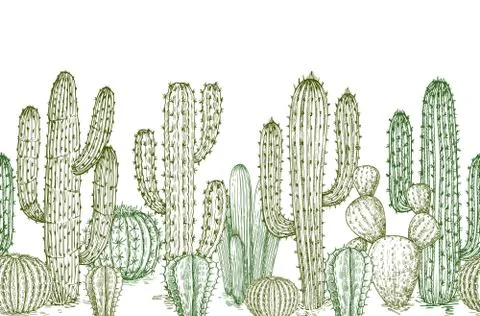 Cactus seamless pattern. Sketch desert cactuses plants endless border for Stock Illustration