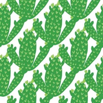 Cactus seamless pattern on white background. Cacti wallpaper. Illustrazione stock