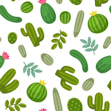 Cactus Seamless Pattern on White Background. Vector Illustrazione stock