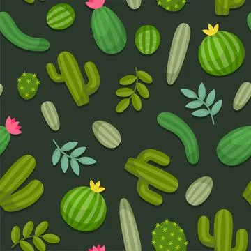 Cactus Seamless Pattern on White Background. Vector 스톡 일러스트