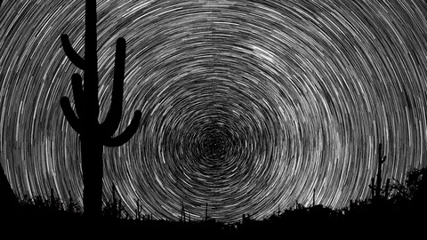 A cactus is seen in the foreground while stars create trails over time. Stock Footage 107854645