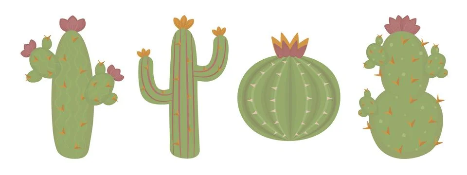 Cactus set in boho style Stock Illustration